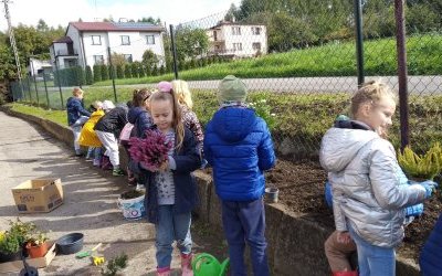 Szkolna rabatka