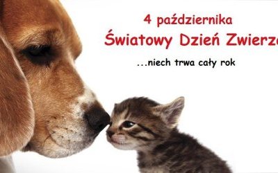 Światowy Dzień Zwierząt