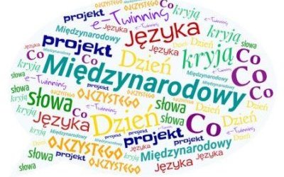 Sonda szkolna