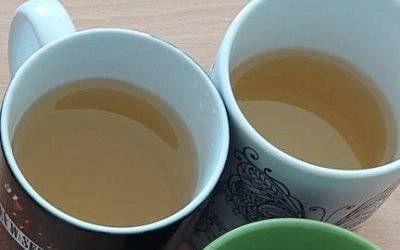 Twórczość Jana Kochanowskiego