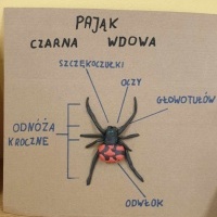 Prace projektowe z biologii (1)