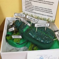 Prace projektowe z biologii (2)