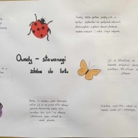 Prace projektowe z biologii (5)