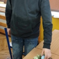 Stroiki wielkanocne (9)