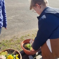 Mini ogródki wykonane przez Trzecioklasistów. (8)