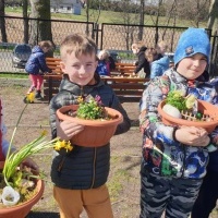 Mini ogródki wykonane przez Trzecioklasistów. (15)
