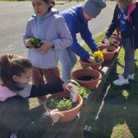 Mini ogródki wykonane przez Trzecioklasistów. (16)