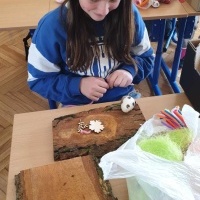 Stroiki wykonane z drewna, które otrzymaliśmy w prezencie (6)