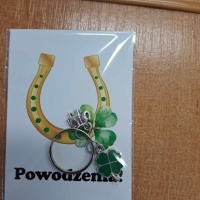 Spotkanie wolontariuszy (7)