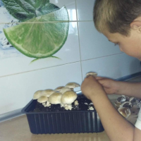Eksperyment przyrodniczy klasy IV